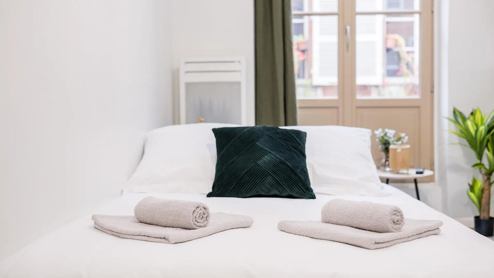 Le Petit Boulbone Appartement Toulouse